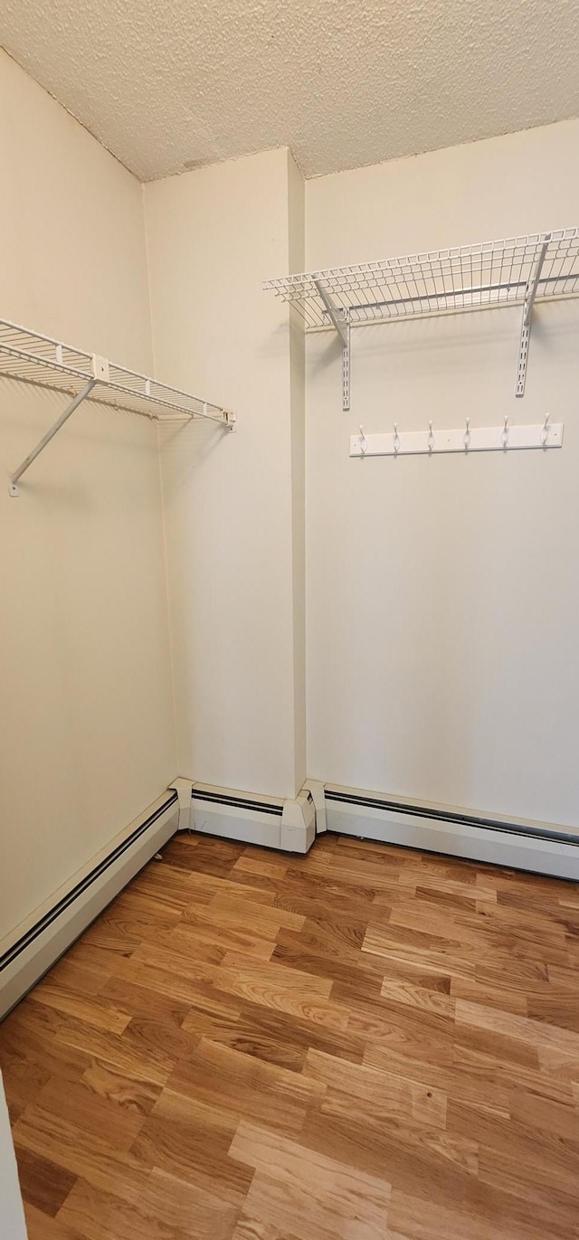 6615 Lake Shore Dr S Unit 717, Richfield, MN 55423 - spacious closet with light wood-style floors