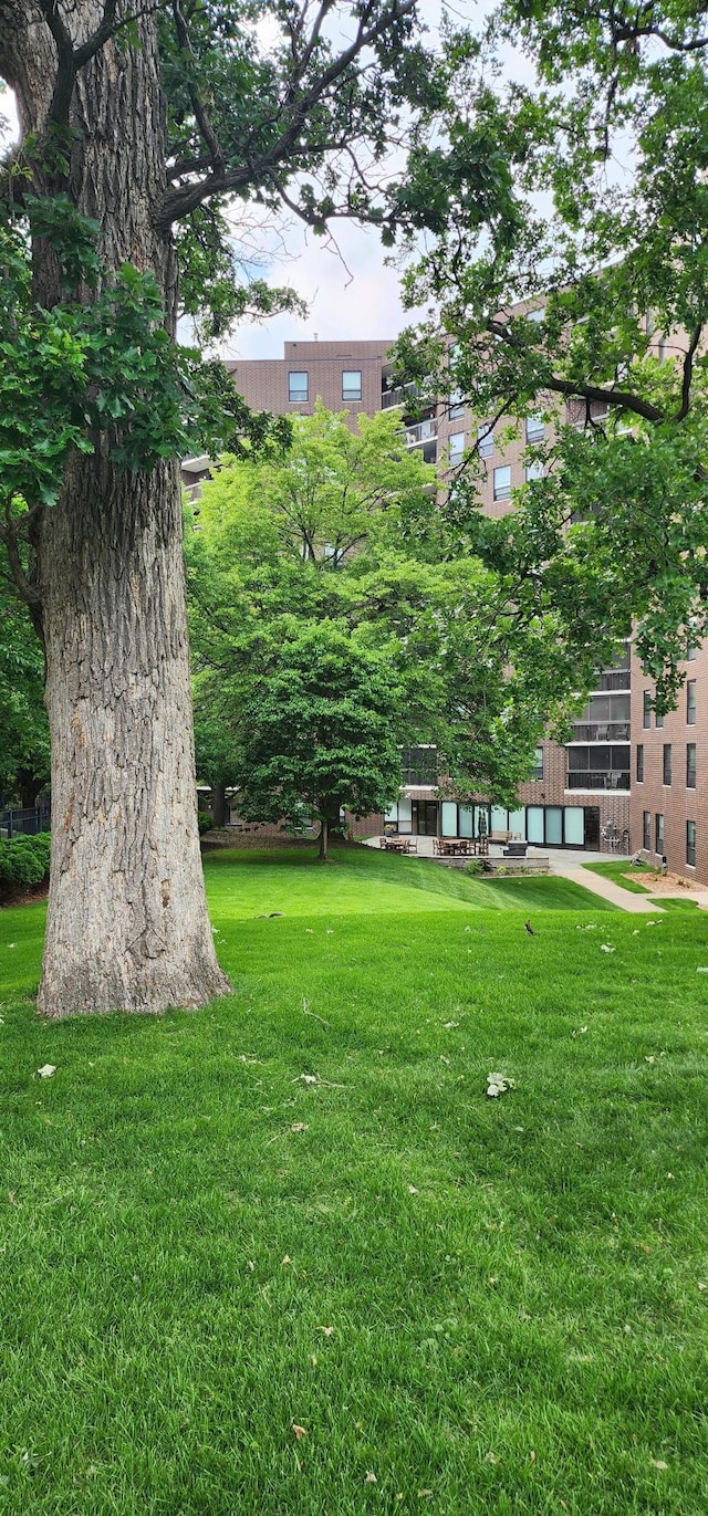 6615 Lake Shore Dr S Unit 717, Richfield, MN 55423 - surrounding community featuring a yard