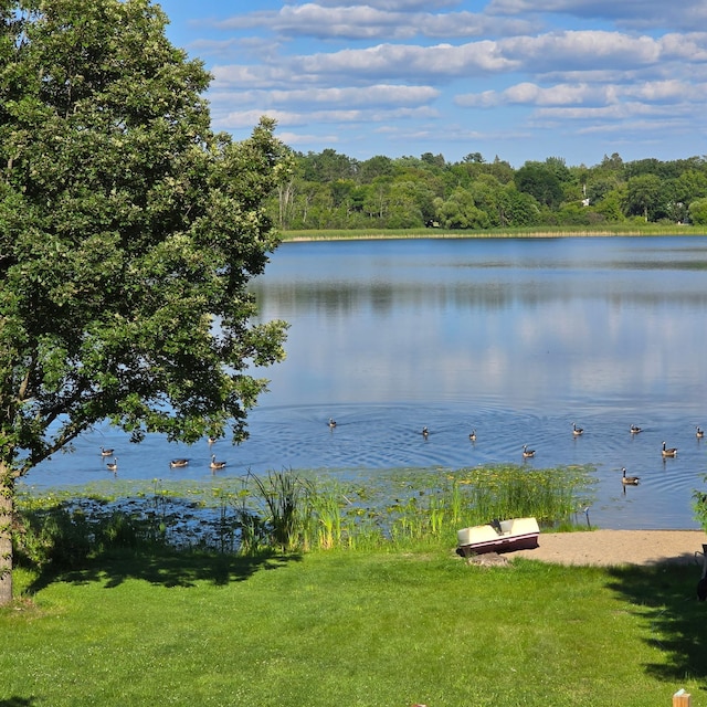 604 16th Ave, Grand Rapids, MN 55744 - water view