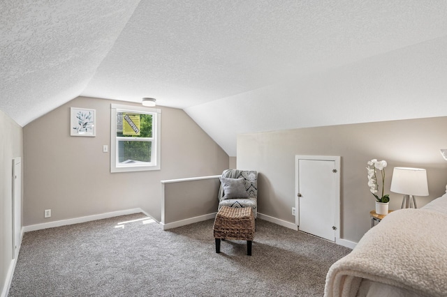 404 8th Ave S, Princeton, MN 55371 - bedroom with lofted ceiling, a textured ceiling, baseboards, and carpet floors