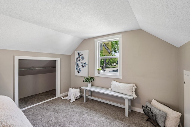 404 8th Ave S, Princeton, MN 55371 - bonus room with lofted ceiling, a textured ceiling, and carpet flooring