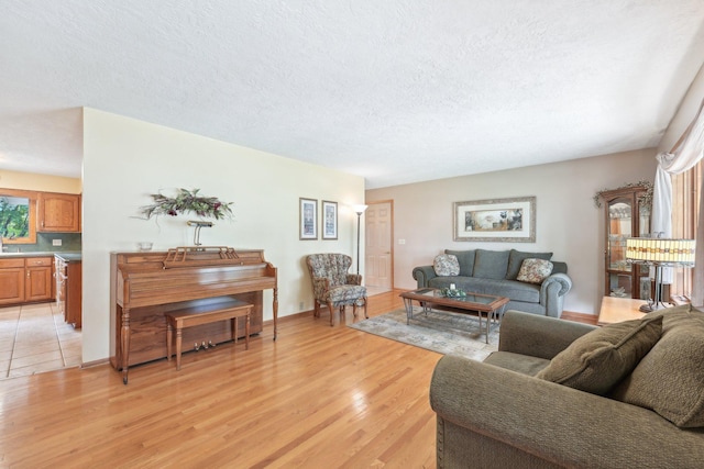 1852 13th Ave W, Shakopee, MN 55379 - living room with light wood-type flooring, a textured ceiling, and baseboards