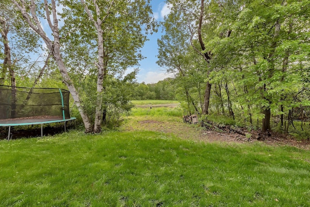 25845 12th St W, Zimmerman, MN 55398 - view of grassy yard with a trampoline