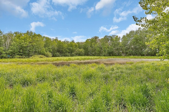 25845 12th St W, Zimmerman, MN 55398 - view of tree filled area