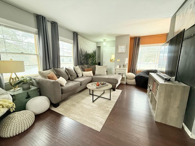 310 Saint Paul Ave S, Thief River Falls, MN 56701 - living area featuring dark wood-style floors