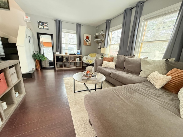310 Saint Paul Ave S, Thief River Falls, MN 56701 - living area with dark wood-style flooring and healthy amount of natural light
