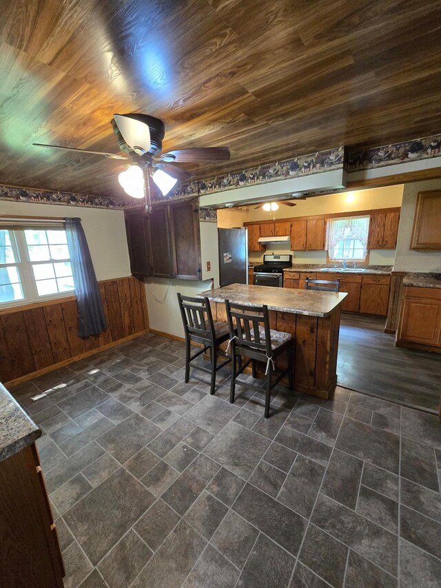 25 Morgan St, Tracy, MN 56175 - kitchen with appliances with stainless steel finishes, wooden ceiling, brown cabinets, wooden walls, and under cabinet range hood