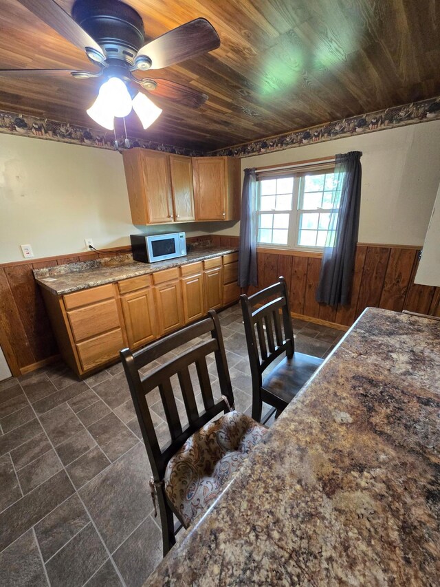25 Morgan St, Tracy, MN 56175 - kitchen featuring wainscoting, wooden walls, a ceiling fan, and wood ceiling
