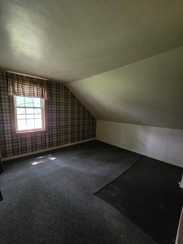 25 Morgan St, Tracy, MN 56175 - bonus room featuring wallpapered walls, carpet floors, and lofted ceiling