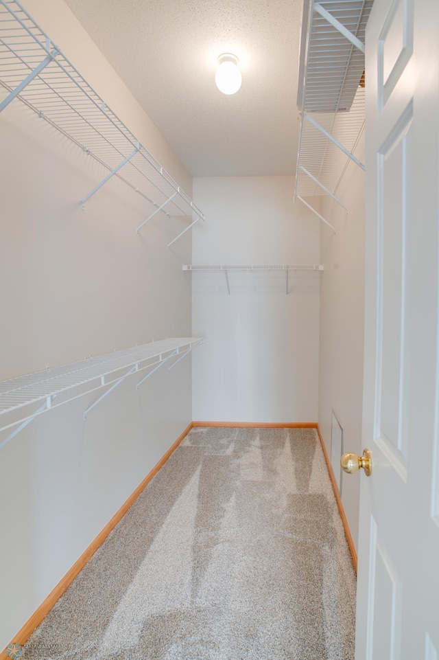 3401 28th St SW # 108, Fargo, ND 58104 - walk in closet with carpet flooring