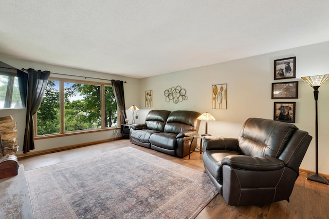 13100 Island View Dr NW, Elk River, MN 55330 - living room with wood finished floors and baseboards