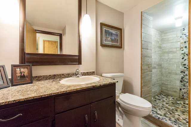 13100 Island View Dr NW, Elk River, MN 55330 - bathroom featuring toilet, vanity, and a tile shower