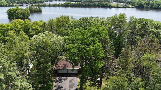 13100 Island View Dr NW, Elk River, MN 55330 - bird's eye view of a nearby body of water and a heavily wooded area