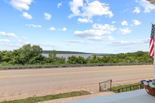 W3410 State Road 35, Maiden Rock, WI 54750 - photo 12