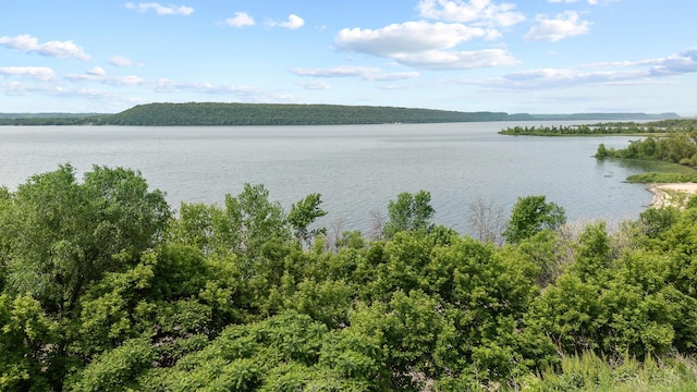 W3410 State Road 35, Maiden Rock, WI 54750 - photo 13