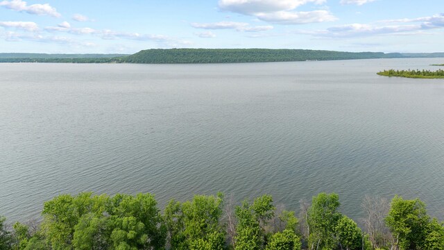 W3410 State Road 35, Maiden Rock, WI 54750 - photo 14
