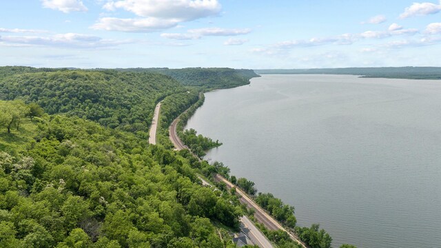 W3410 State Road 35, Maiden Rock, WI 54750 - photo 15