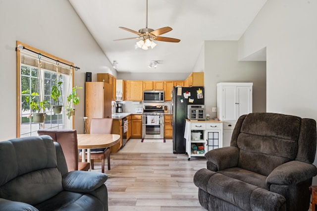 11509 Quay St, Coon Rapids, MN 55433 - living area with high vaulted ceiling, light wood-style floors, and a ceiling fan
