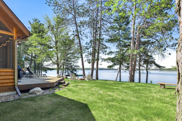 41849 Birchwood Dr, Emily, MN 56447 - photo 36