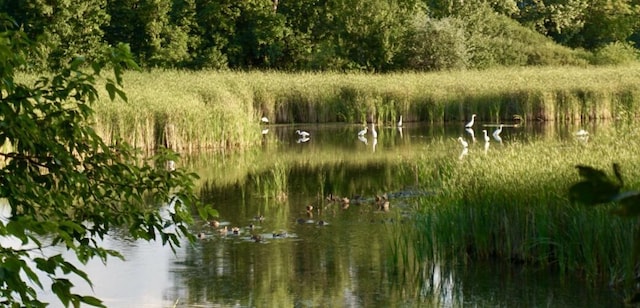 320 Ford Rd Unit 3, Saint Louis Park, MN 55426 - view of undeveloped land with a large body of water