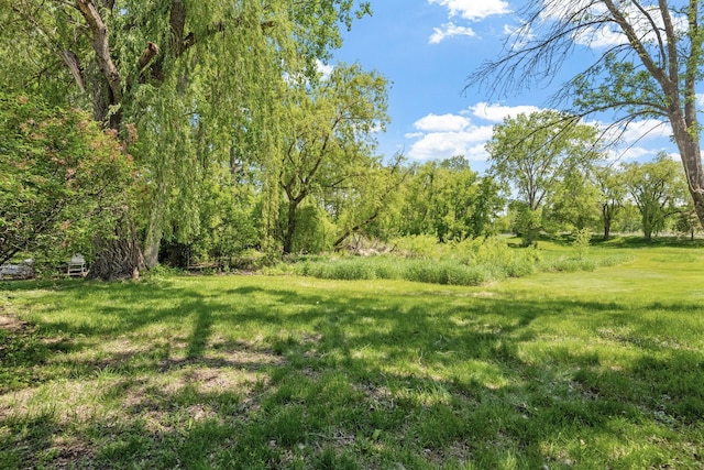 5554 Knoll Dr, Shoreview, MN 55126 - view of yard
