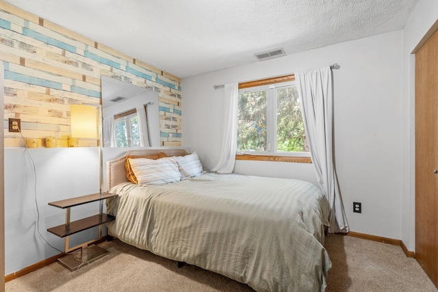 5554 Knoll Dr, Shoreview, MN 55126 - bedroom with multiple windows, carpet floors, a textured ceiling, and baseboards