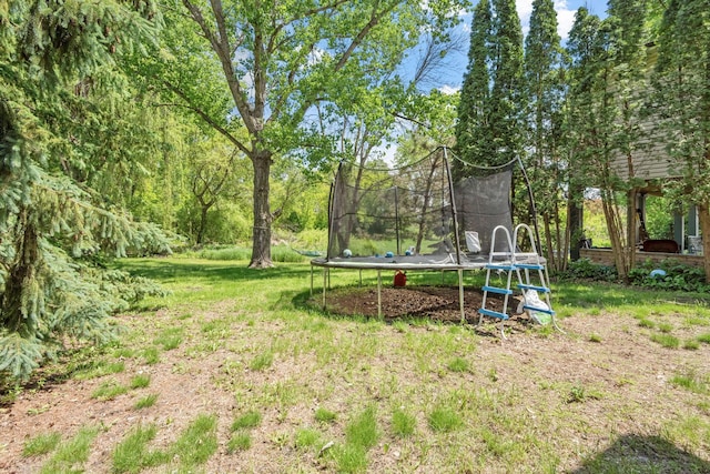 5554 Knoll Dr, Shoreview, MN 55126 - view of green lawn featuring a trampoline