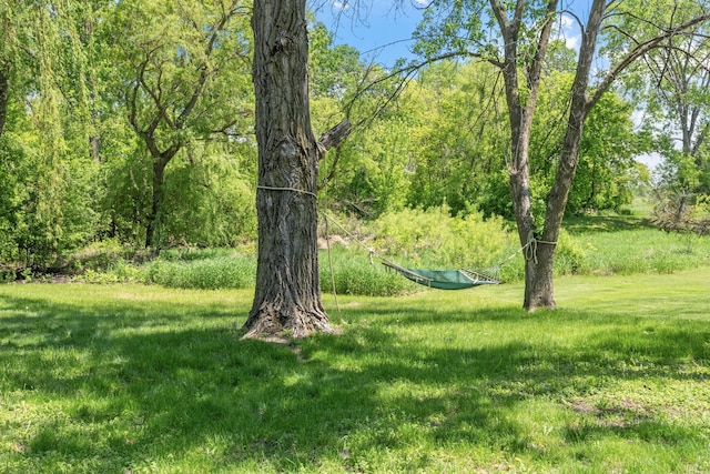 5554 Knoll Dr, Shoreview, MN 55126 - view of grassy yard