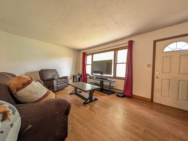 1422 6th St SE, Wadena, MN 56482 - living room featuring light wood-style floors, a textured ceiling, and plenty of natural light