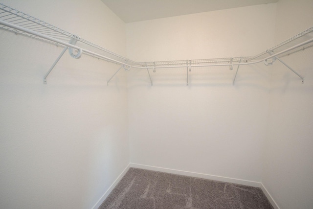 5656 Harvest Moon Blvd NW, Rochester, MN 55901 - walk in closet featuring dark carpet