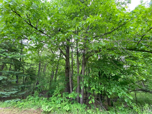 3771 County Line Rd, Moose Lake Twp, MN 55783 - view of woods