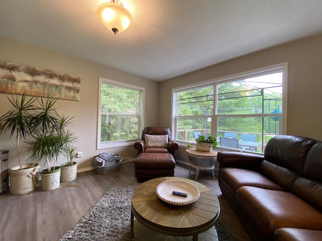 3771 County Line Rd, Moose Lake Twp, MN 55783 - living area with wood finished floors and baseboards