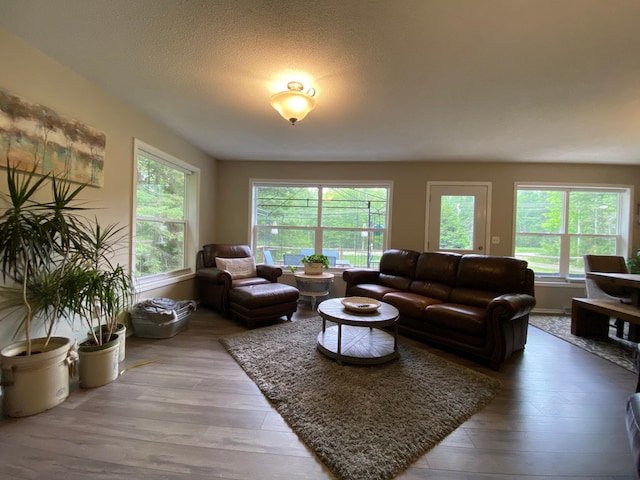 3771 County Line Rd, Moose Lake Twp, MN 55783 - living room featuring wood finished floors and a textured ceiling