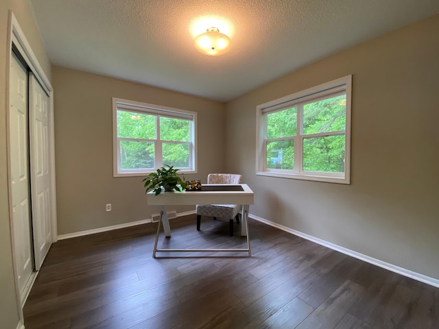 3771 County Line Rd, Moose Lake Twp, MN 55783 - office area featuring plenty of natural light, baseboards, dark wood finished floors, and a textured ceiling