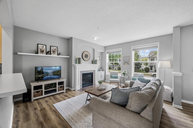 2099 Clover Ridge Dr, Chaska, MN 55318 - living area with a textured ceiling, a glass covered fireplace, wood finished floors, and baseboards
