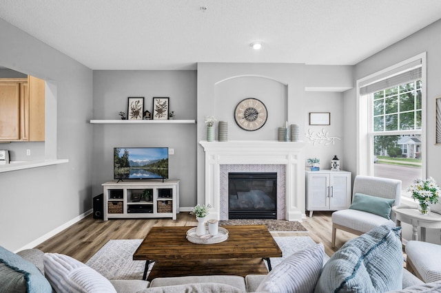 2099 Clover Ridge Dr, Chaska, MN 55318 - living area with light wood-style floors, a fireplace with flush hearth, and baseboards