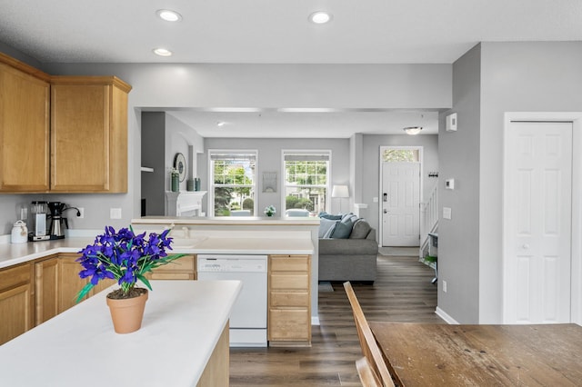 2099 Clover Ridge Dr, Chaska, MN 55318 - kitchen with white dishwasher, open floor plan, dark wood-type flooring, light countertops, and recessed lighting