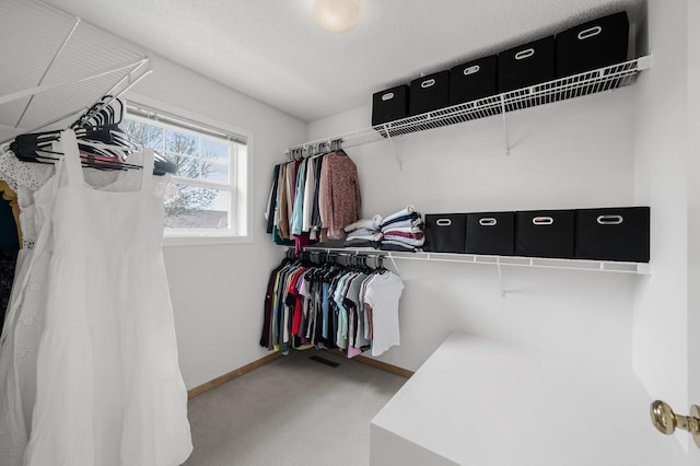 2099 Clover Ridge Dr, Chaska, MN 55318 - spacious closet with carpet