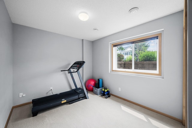 2099 Clover Ridge Dr, Chaska, MN 55318 - exercise area with carpet floors and baseboards