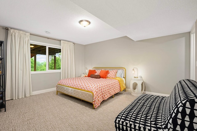 6100 151st St, Savage, MN 55378 - bedroom featuring baseboards, carpet, and a textured ceiling