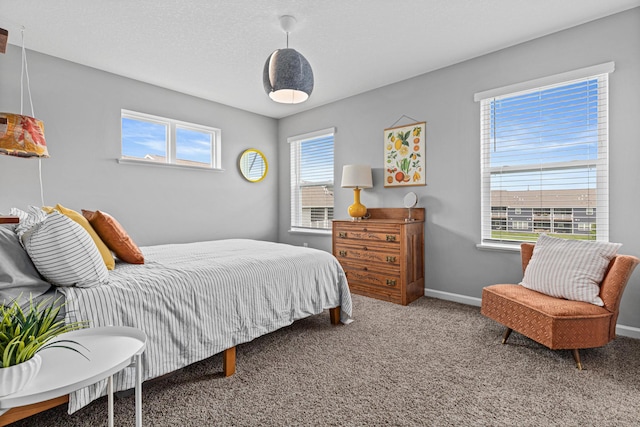 8756 Granite Ln, Woodbury, MN 55129 - bedroom with carpet floors and baseboards