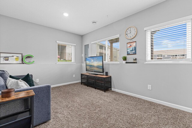 8756 Granite Ln, Woodbury, MN 55129 - carpeted living room with baseboards and recessed lighting