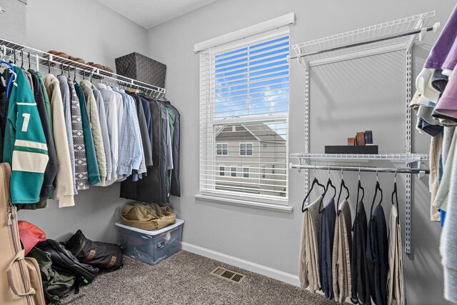 8756 Granite Ln, Woodbury, MN 55129 - walk in closet featuring carpet floors