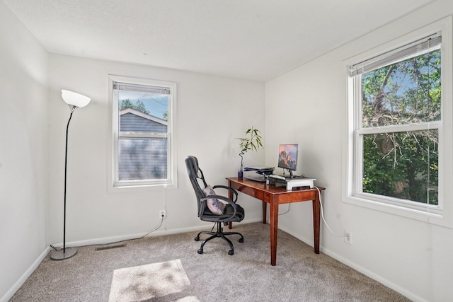1524 Arlington Ave E, Saint Paul, MN 55106 - home office featuring carpet floors and plenty of natural light