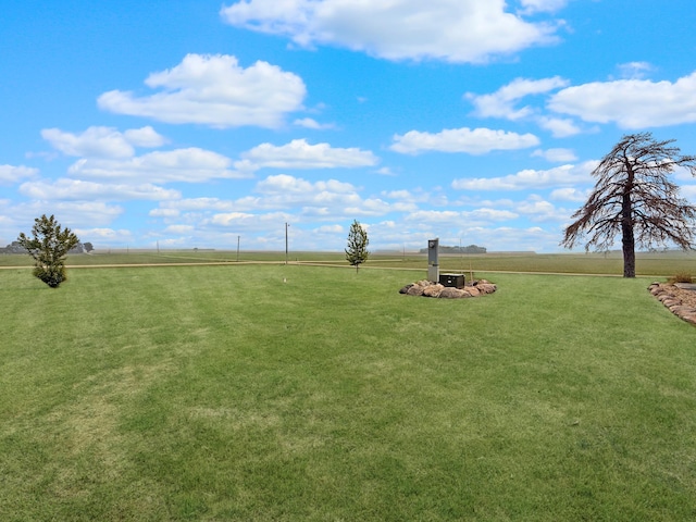 2771 271st Ave, Madison, MN 56256 - view of grassy yard