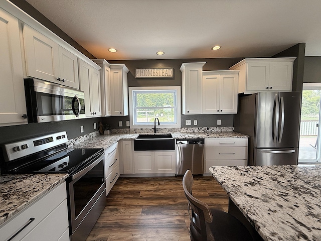 2771 271st Ave, Madison, MN 56256 - kitchen featuring stainless steel appliances, a sink, light stone countertops, and recessed lighting