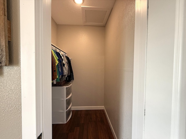 2771 271st Ave, Madison, MN 56256 - spacious closet with dark wood-style floors and attic access