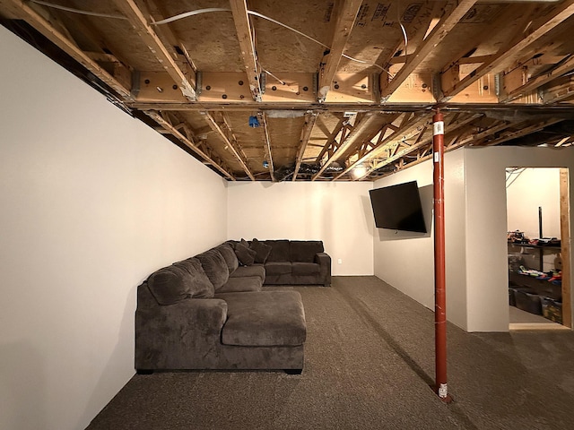2771 271st Ave, Madison, MN 56256 - finished basement featuring carpet floors