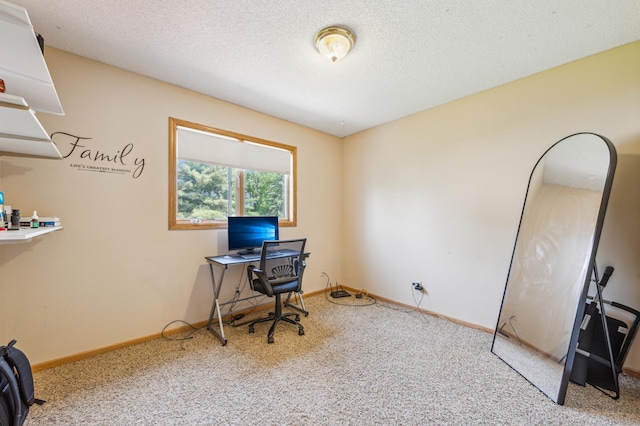 10344 Fox Run Rd, Woodbury, MN 55129 - office area with carpet floors, baseboards, and a textured ceiling