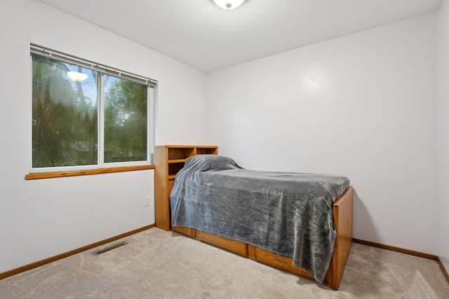 1641 Kenabec St, Big Lake, MN 55309 - photo 28